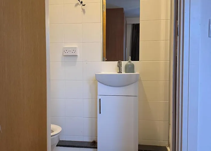 Liffey River View Private En-suite Double In Shared Apartment, Grand Canal Dock Accommodatie bij particulieren Dublin